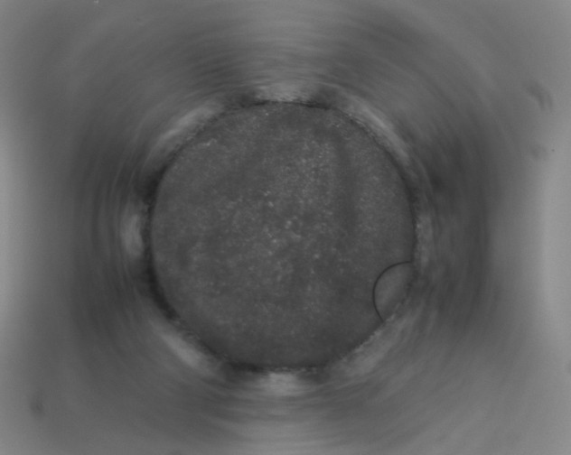 X0000113760114200910141056