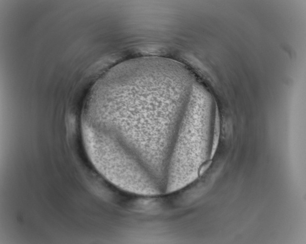 X0000113760117200910141056