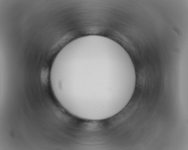 X0000113760118200910141056