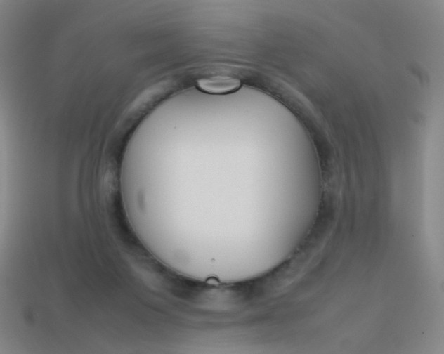 X0000113760119200910141056