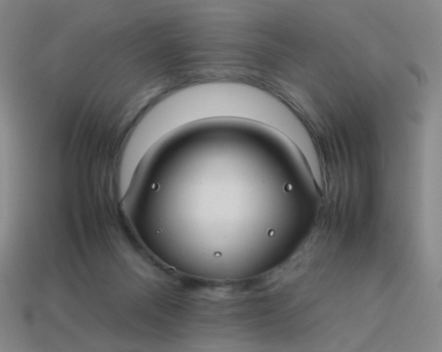 X0000113760120200910141056