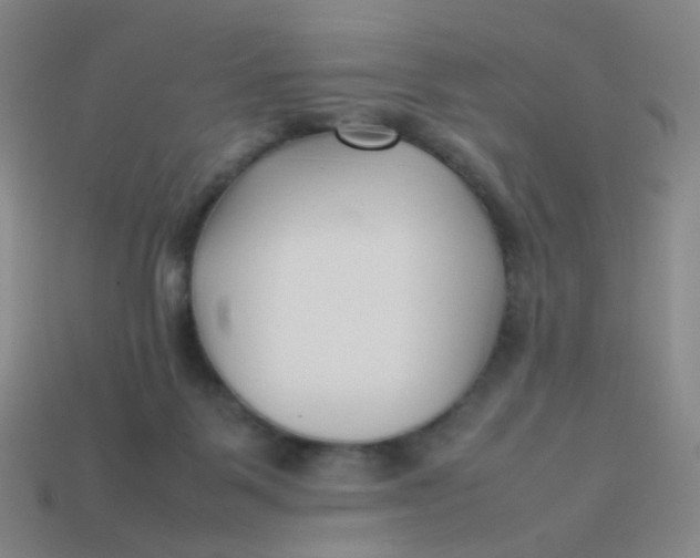 X0000113760123200910141056