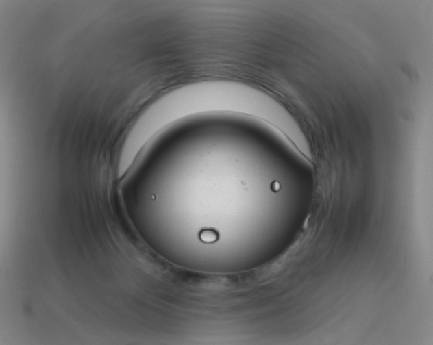 X0000113760124200910141056