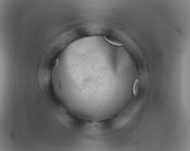 X0000113760125200910141056