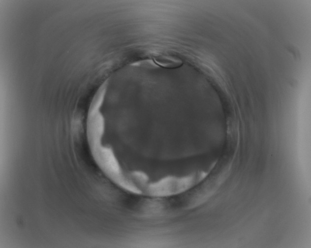 X0000113760127200910141056