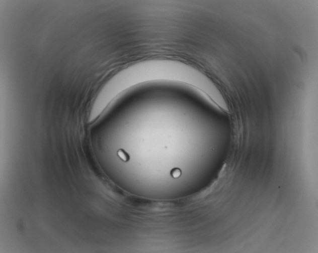 X0000113760128200910141056