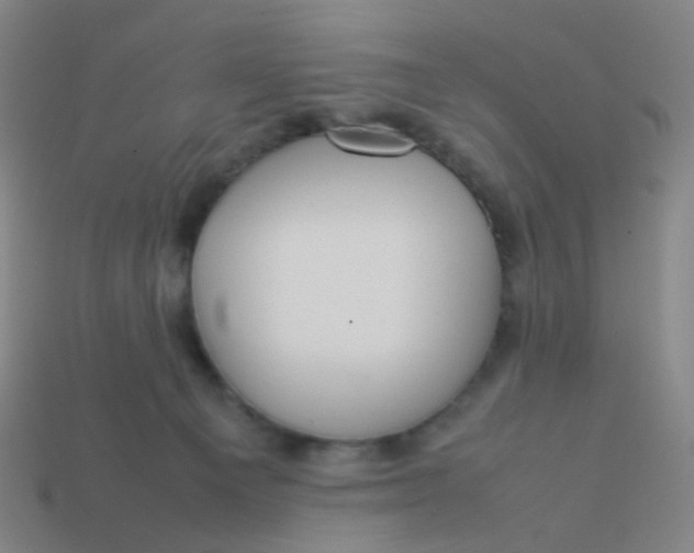 X0000113760129200910141056