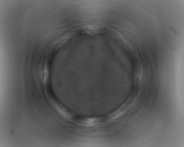 X0000113760130200910141056