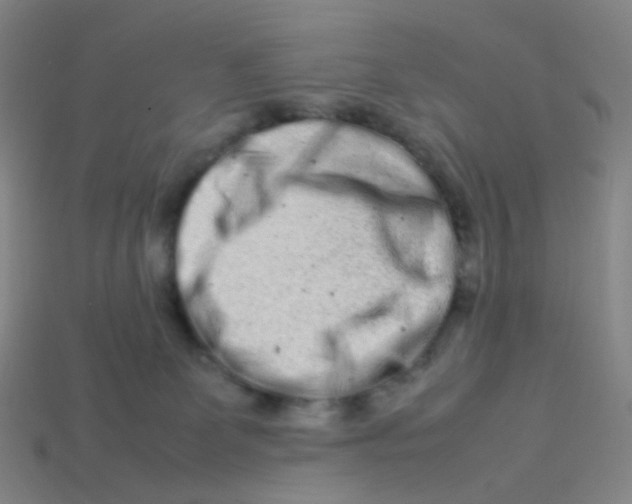 X0000113760131200910141056