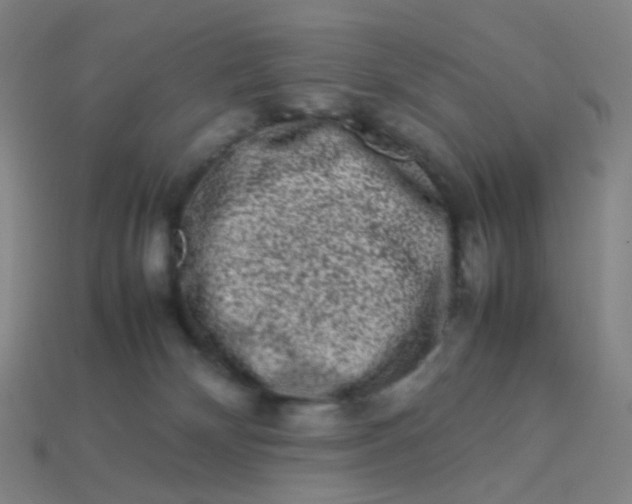 X0000113760132200910141056