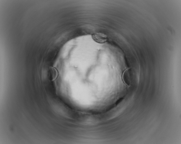 X0000113760134200910141056