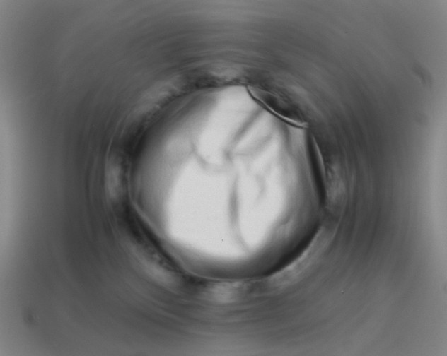 X0000113760136200910141056