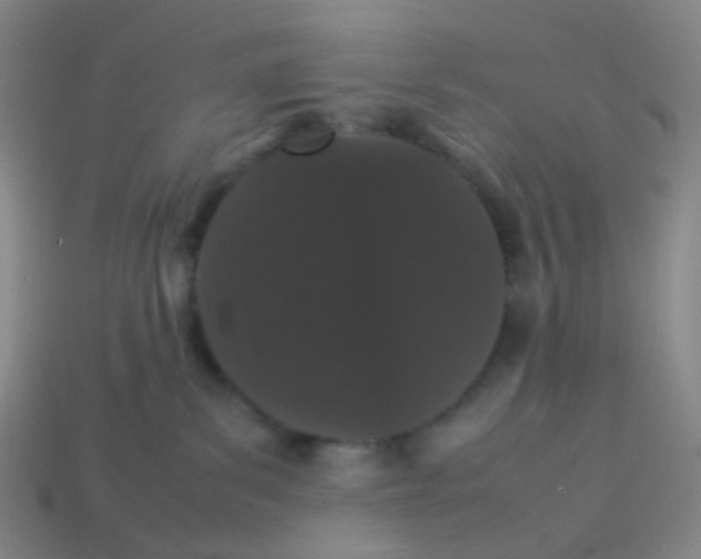 X0000113760139200910141056