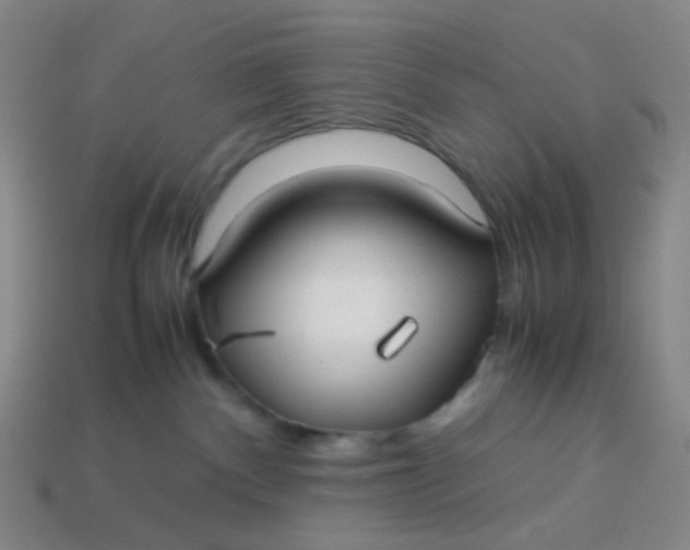 X0000113760140200910141056