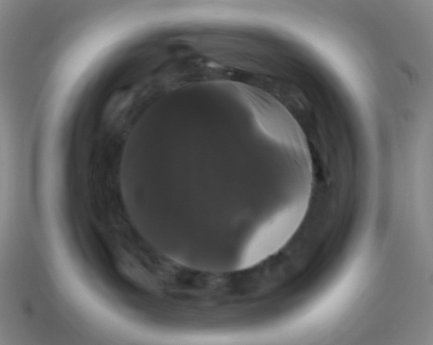 X0000113760143200910141056