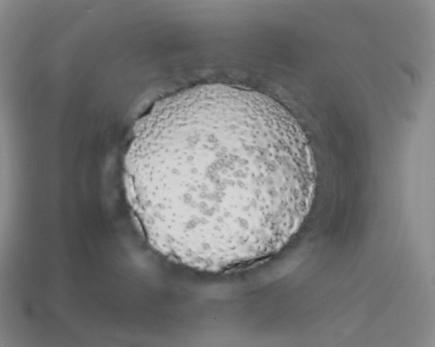 X0000113760144200910141056