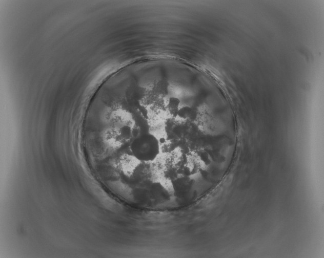 X0000113760145200910141055