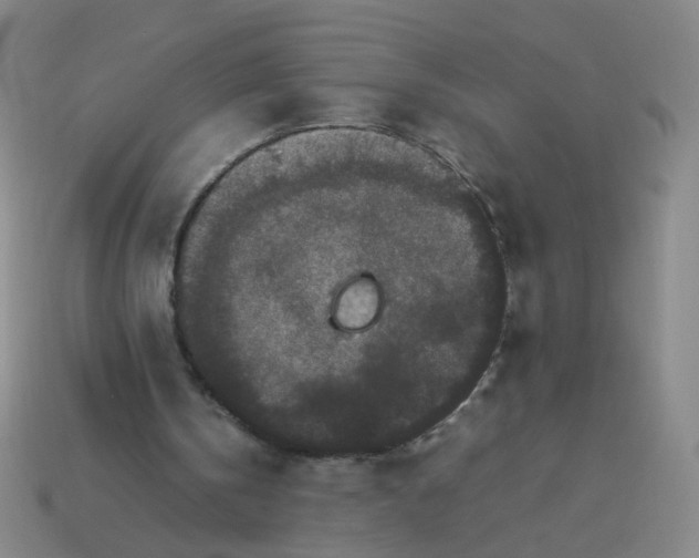 X0000113760146200910141055