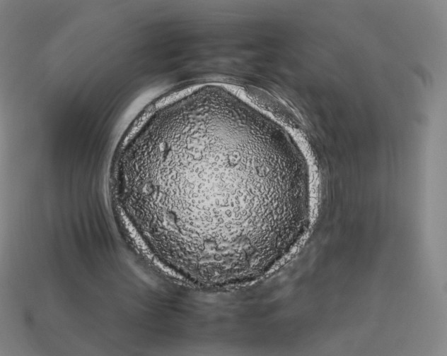 X0000113760147200910141055