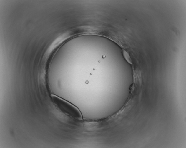 X0000113760150200910141055