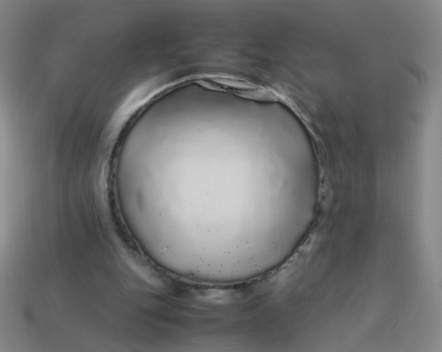 X0000113760151200910141055