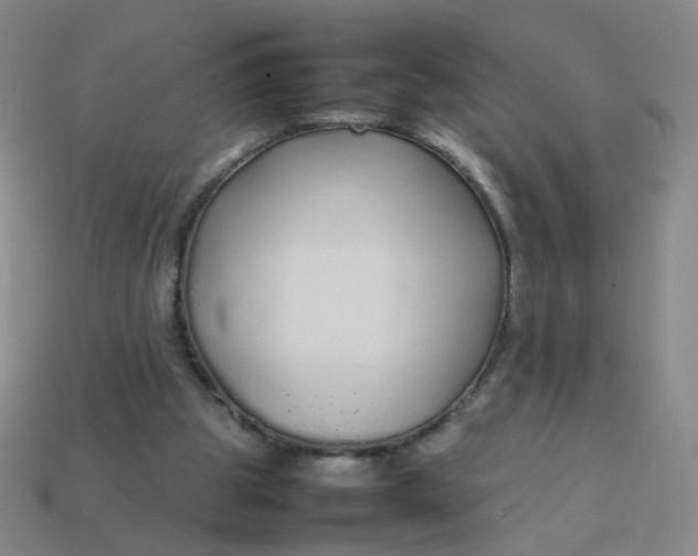 X0000113760153200910141055