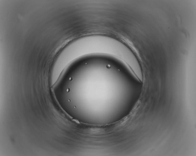 X0000113760154200910141055