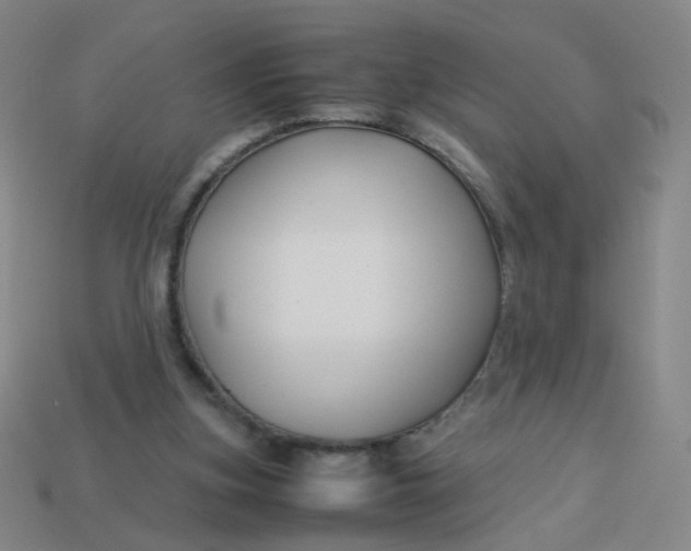 X0000113760155200910141055