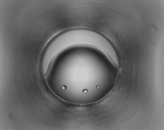 X0000113760156200910141055