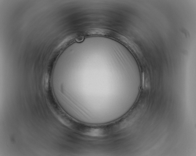 X0000113760157200910141055