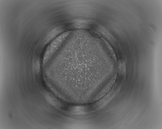 X0000113760158200910141055