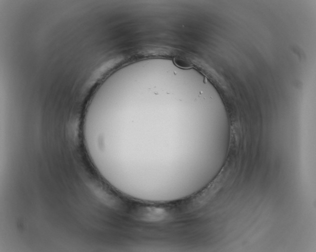 X0000113760159200910141055