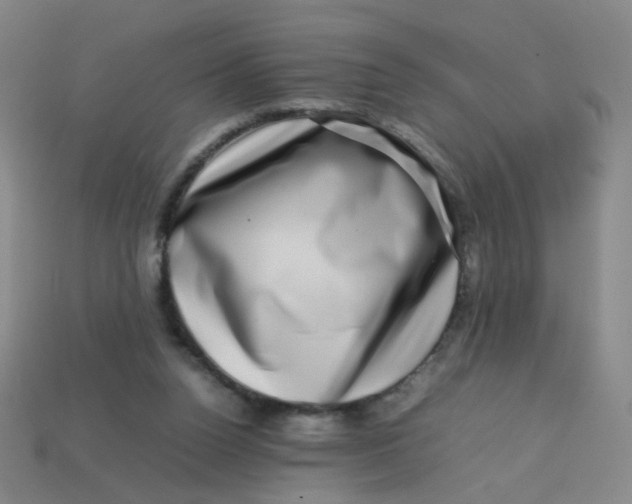 X0000113760160200910141055