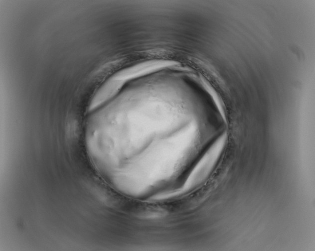 X0000113760161200910141055