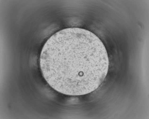 X0000113760162200910141055