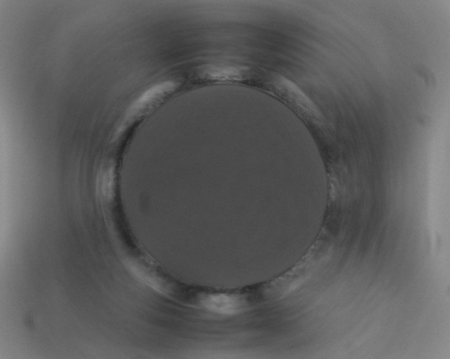 X0000113760163200910141055