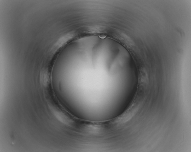 X0000113760164200910141055