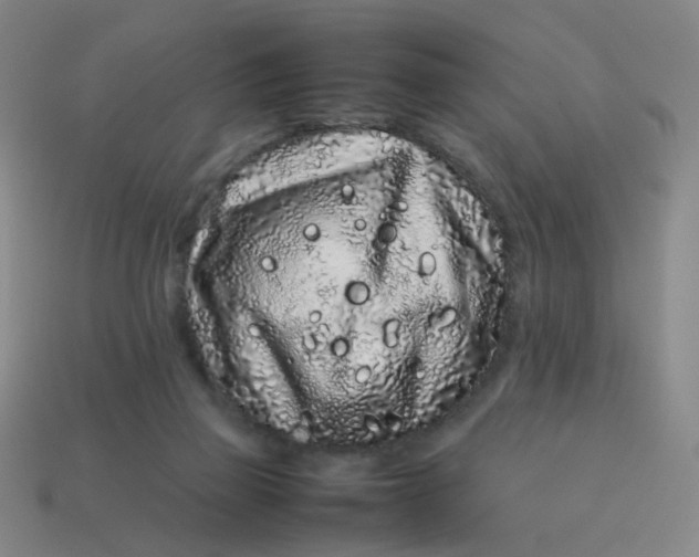 X0000113760165200910141055