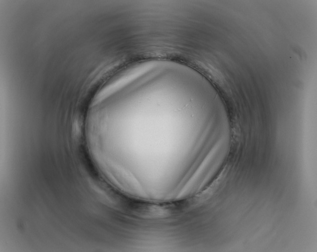 X0000113760166200910141055