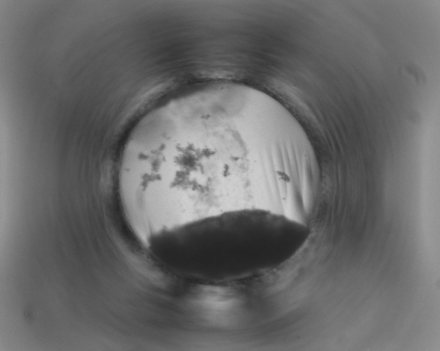 X0000113760167200910141055