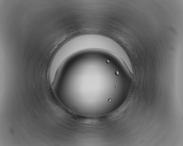 X0000113760168200910141055