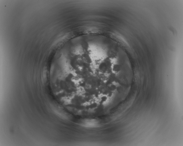 X0000113760169200910141055