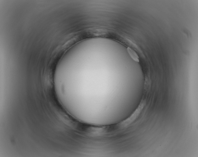 X0000113760170200910141055