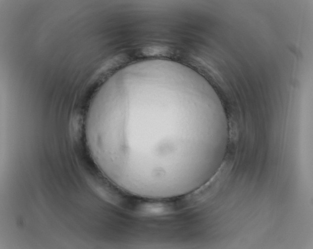 X0000113760171200910141055