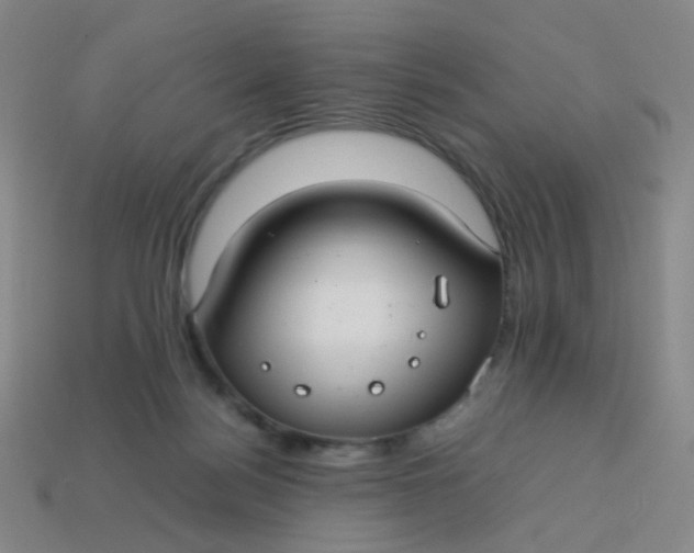 X0000113760172200910141055