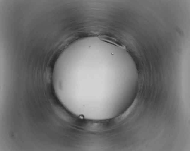 X0000113760174200910141055