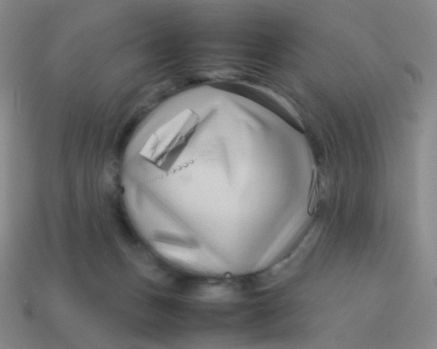 X0000113760175200910141055