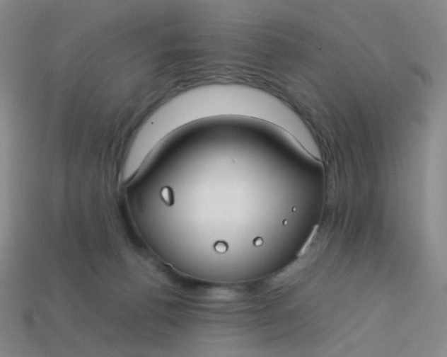 X0000113760176200910141055