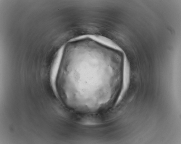 X0000113760177200910141055