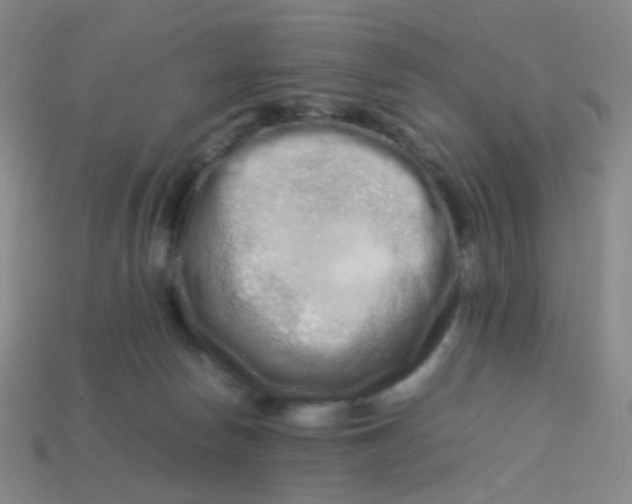 X0000113760178200910141055